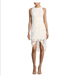 Betsy & Adam Lace Tulip Sheath Dress